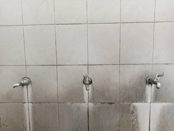 Best Ceiling and Wall Water Damage Repair in USA